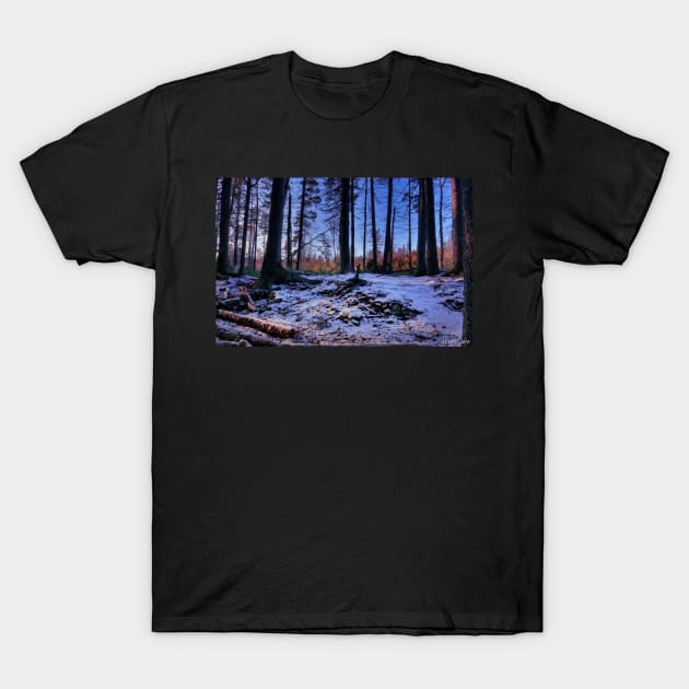 Hemlock Ravine Park 01 T-Shirt by kenmo